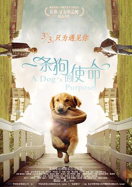 一级片国产