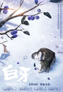 亚洲另类交
