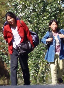 精品视频一区 在线视频