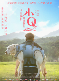 天天高清
